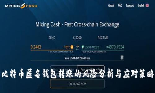 比特币匿名钱包转账的风险分析与应对策略