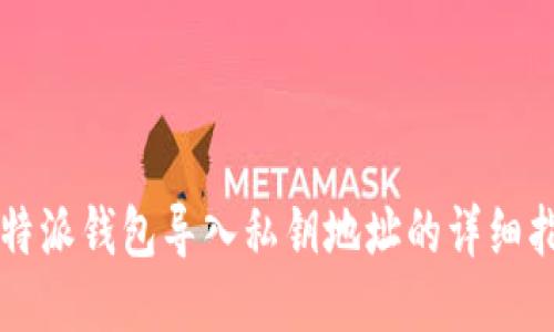 比特派钱包导入私钥地址的详细指南