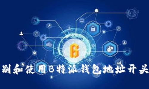 如何识别和使用B特派钱包地址开头的说明
