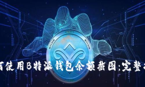 如何使用B特派钱包余额截图：完整指南