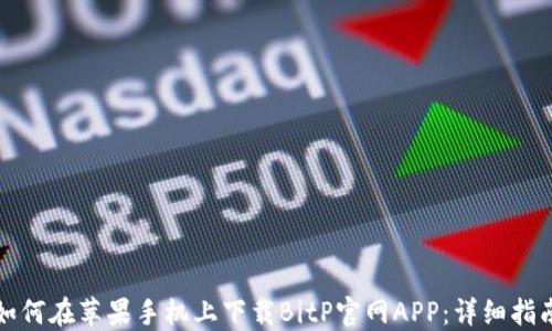 
如何在苹果手机上下载BitP官网APP：详细指南