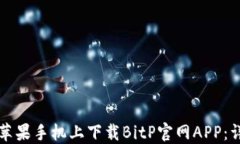 如何在苹果手机上下载BitP官网APP：详细指南