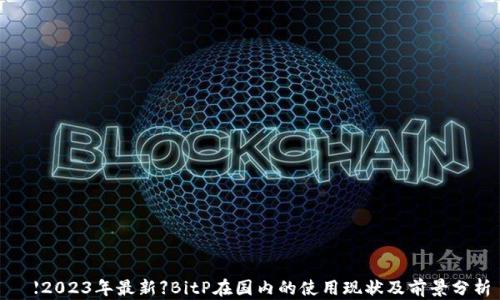 
  【2023年最新】BitP在国内的使用现状及前景分析