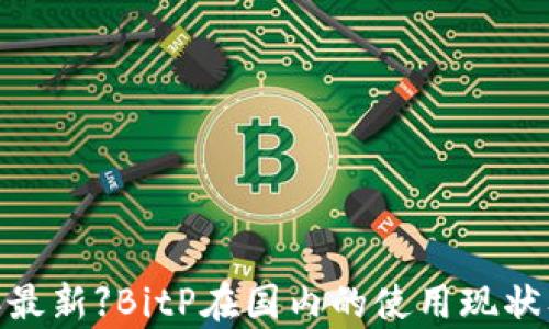 
  【2023年最新】BitP在国内的使用现状及前景分析