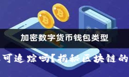 比特币钱包转账可追踪吗？揭秘区块链的隐私性和透明性