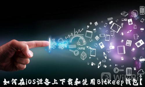 
如何在iOS设备上下载和使用BitKeep钱包？