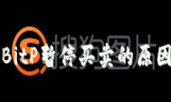 比特币钱包BitP暂停买卖的原因及影响分析