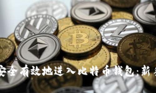 优质
如何安全有效地进入比特币钱包：新手指南