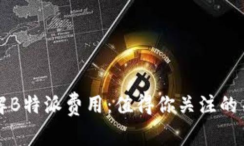 深入了解B特派费用：值得你关注的关键要素