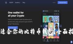 如何选择适合你的比特币钱包？全面指南与推荐