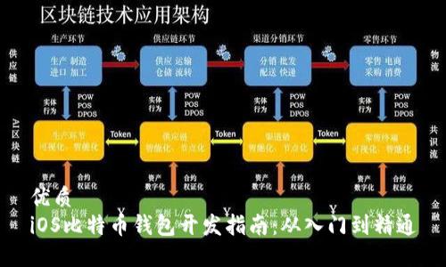 优质  
iOS比特币钱包开发指南：从入门到精通