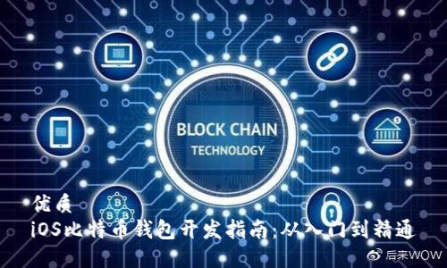 优质  
iOS比特币钱包开发指南：从入门到精通