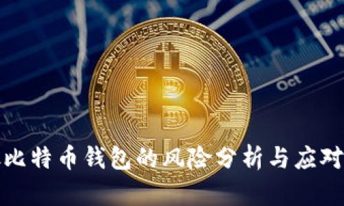 存放比特币钱包的风险分析与应对策略