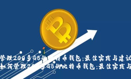 如何管理200多GB的比特币钱包：最佳实践与建议  
code如何管理200多GB的比特币钱包：最佳实践与建议
