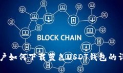 中国用户如何下载蓝色USDT钱包的详细指南