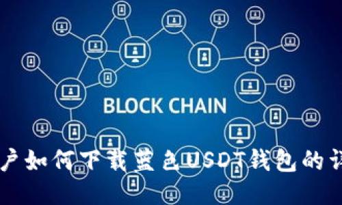 中国用户如何下载蓝色USDT钱包的详细指南