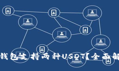 哪个主流钱包支持两种USDT？全面解析与推荐