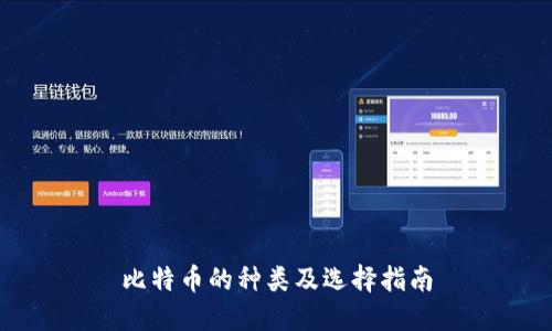 比特币的种类及选择指南