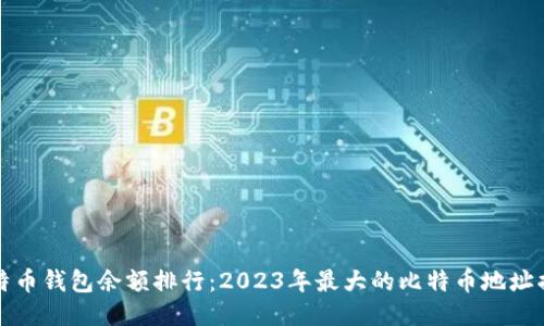 比特币钱包余额排行：2023年最大的比特币地址揭秘