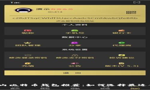 2023年国内比特币钱包推荐：如何选择最适合你的钱包