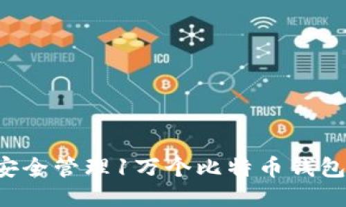 优质如何安全管理1万个比特币钱包.dat文件？