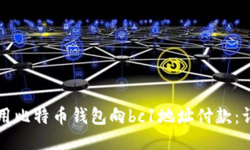 如何使用比特币钱包向bc1地址付款：详细指南