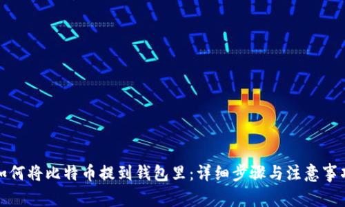 如何将比特币提到钱包里：详细步骤与注意事项