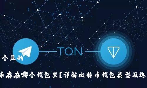 思考一个且的

 比特币存在哪个钱包里？详解比特币钱包类型及选择技巧