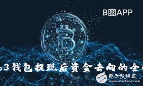 Web3钱包提现后资金去向的全解析