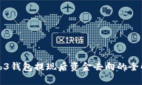 Web3钱包提现后资金去向的全解析