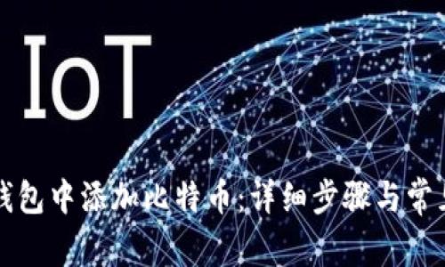 如何在TP钱包中添加比特币：详细步骤与常见问题解答