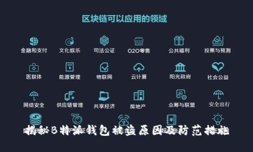 揭秘B特派钱包被盗原因及防范措施