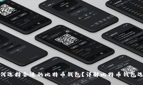 如何选择合适的比特币钱包？详解比特币钱包选项