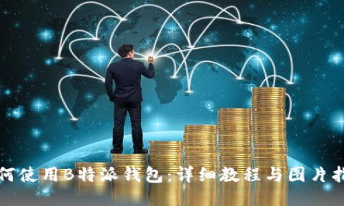 如何使用B特派钱包：详细教程与图片指南