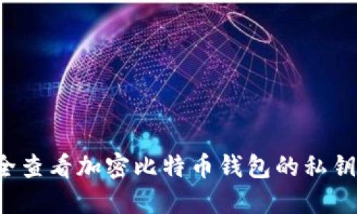 : 如何安全查看加密比特币钱包的私钥：完整指南
