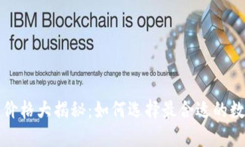 比特派官网价格大揭秘：如何选择最合适的数字货币钱包