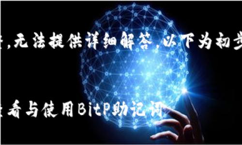 内容未完整，无法提供详细解答。以下为初步结构草稿：

优质 
如何安全查看与使用BitP助记词