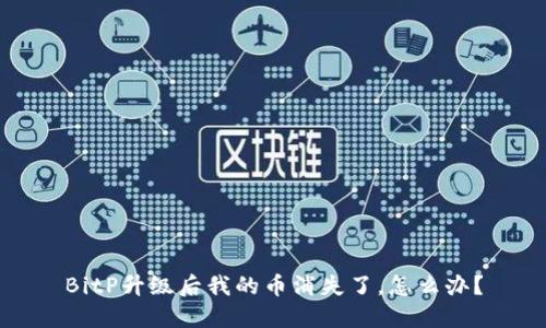 BitP升级后我的币消失了，怎么办？
