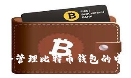 如何安全管理比特币钱包的中文密钥？