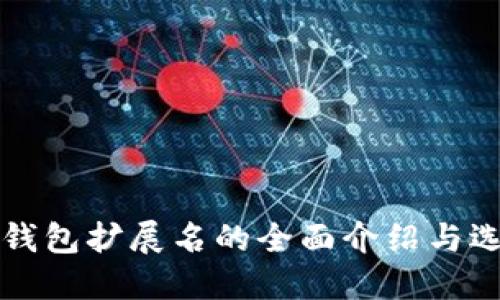 比特币钱包扩展名的全面介绍与选择指南