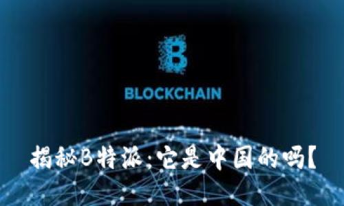 揭秘B特派：它是中国的吗？