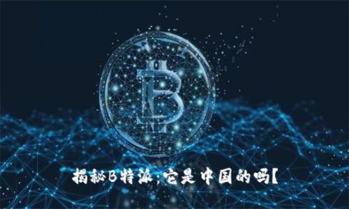 揭秘B特派：它是中国的吗？