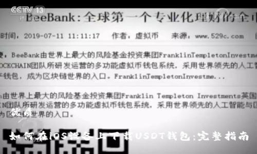 优质

如何在iOS设备上下载USDT钱包：完整指南
