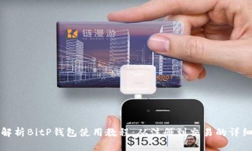 全面解析BitP钱包使用教程：从注册到交易的详细指南