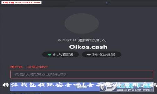 比特派钱包提现安全吗？全面解析与用户指南