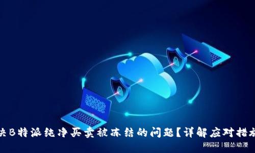 如何解决B特派纯净买卖被冻结的问题？详解应对措施和攻略