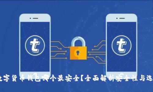 USDT数字货币钱包哪个最安全？全面解析安全性与选择指南