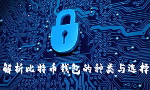 全面解析比特币钱包的种类与选择指南