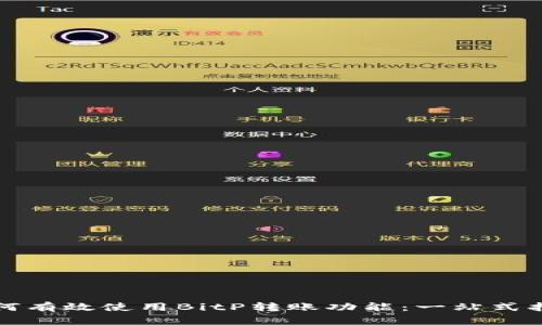 如何有效使用BitP转账功能：一站式指南