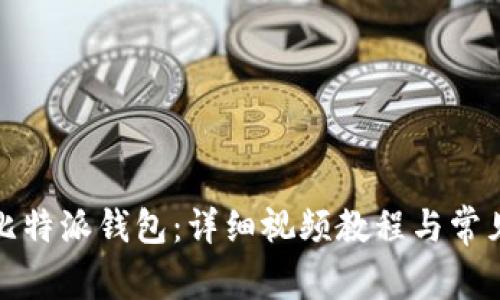 如何使用比特派钱包：详细视频教程与常见问题解答